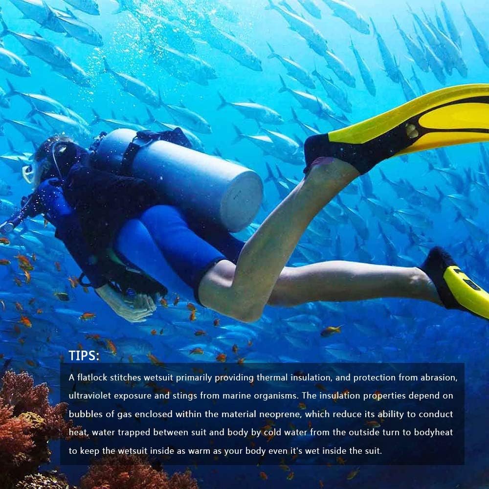 Shorty Wetsuit Shootout: Six Budget Options for Warm Atlantic Sessions